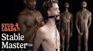 Stud Loads Vol. 8 – Stable Master