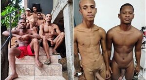 Tigrão Urso - 6 Vídeos