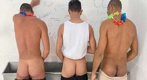 Banheiros públicos durante o Carnaval