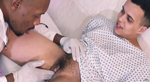 Bob Willian & Gabriel FTM - Brasileiro